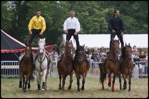 anniversaire avec numero equestre bobigny