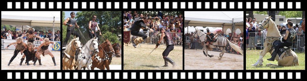 diner spectacle equestre epinal