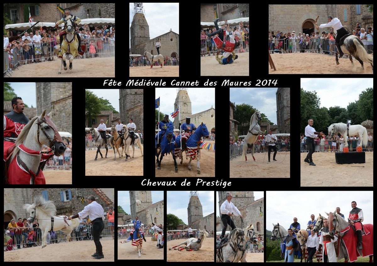 Souvenirs de nos spectacles équestres