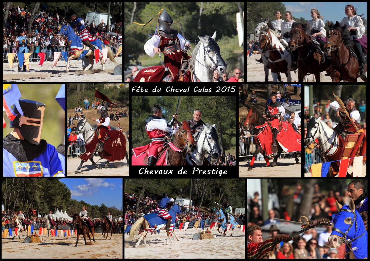 Souvenirs de nos spectacles équestres