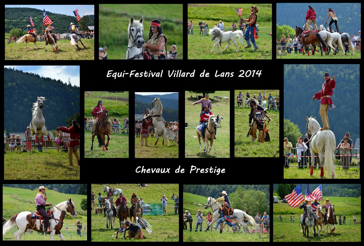 Souvenirs de nos spectacles équestres