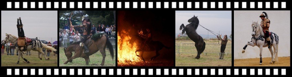 spectacle equestre a theme somme