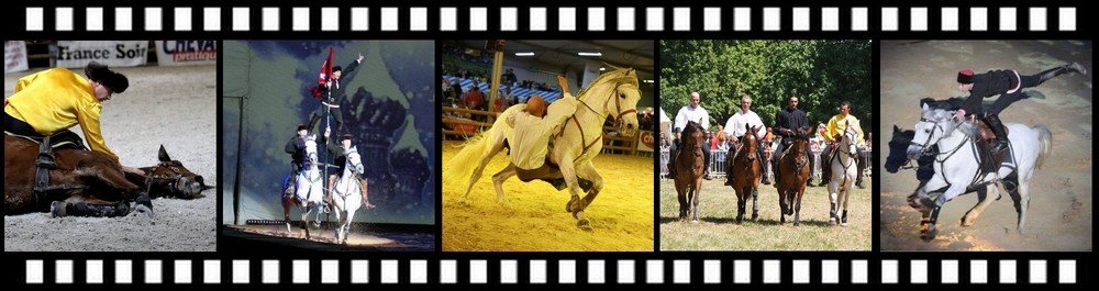 carnaval equestre a la demande pontoise