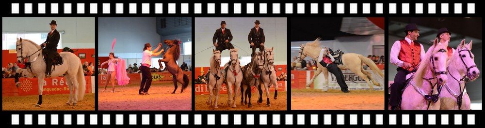 spectacle equestre barbare hautes pyrenees