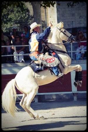 Association Chevaux de Prestige