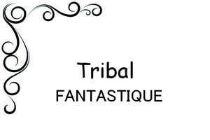 diner spectacle equestre epinal