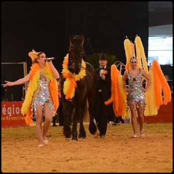 carnaval equestre indien bastia