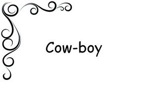 cascade equestre cowboy nevers